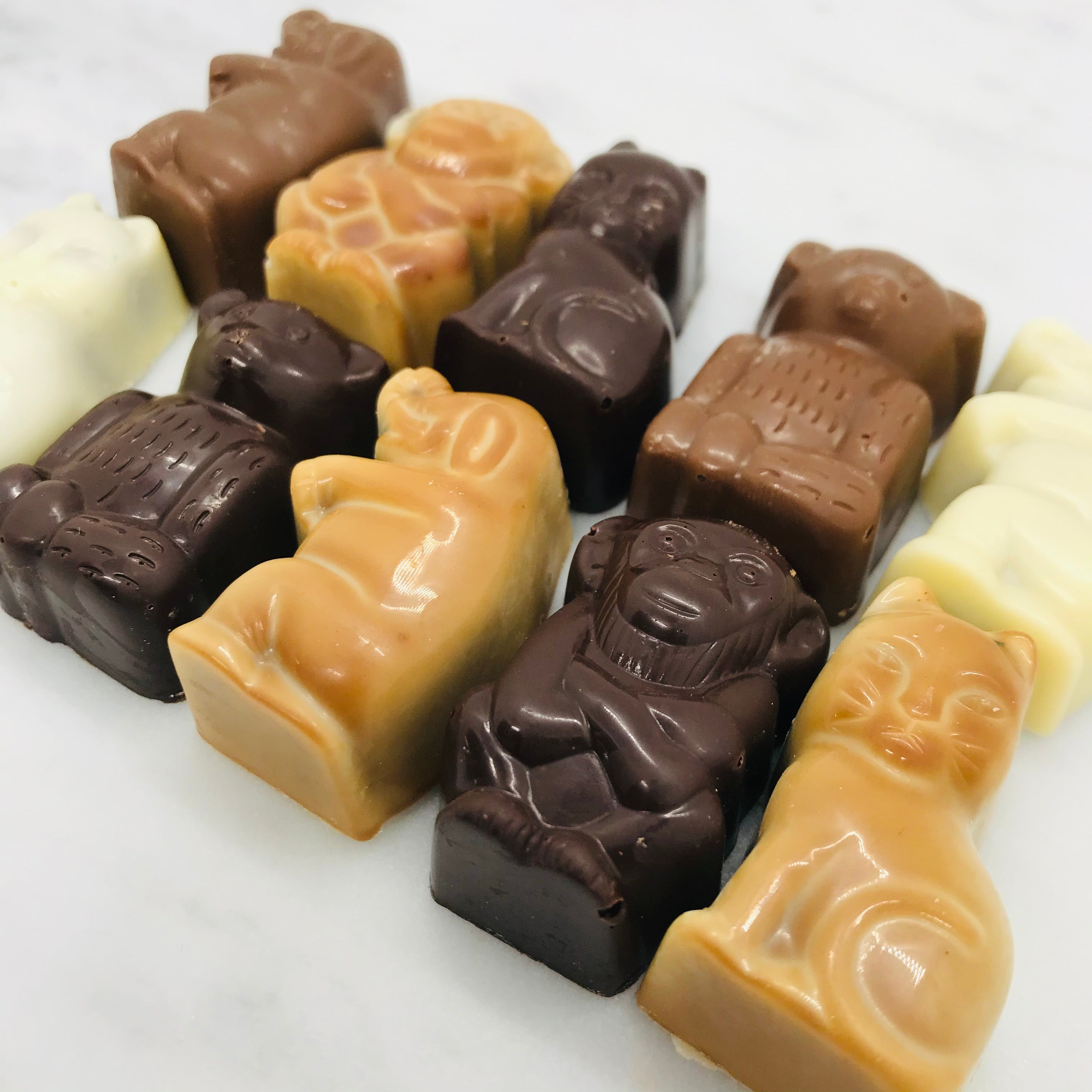 Sinterklaas pralines